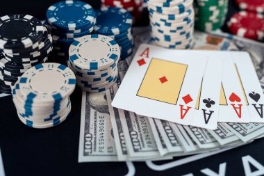 puptogel account dashboard on mobile